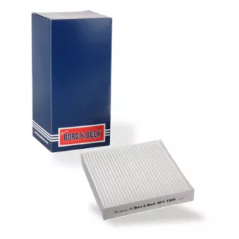 Filtre, air de l'habitacle BORG & BECK BFC1306