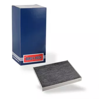 Filtre, air de l'habitacle BORG & BECK OEM 97133F2100