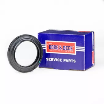 Appareil d'appui à balancier, coupelle de suspension BORG & BECK OEM RNR100060