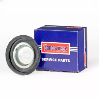 Patin de ressort BORG & BECK BSM5442