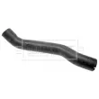 BORG & BECK BTH1000 - Gaine de suralimentation