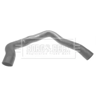 Gaine de suralimentation BORG & BECK OEM 50508080
