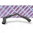 BORG & BECK BTH1003 - Gaine de suralimentation