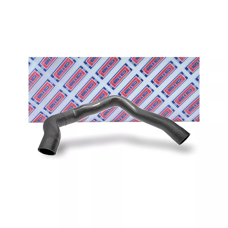 Gaine de suralimentation BORG & BECK BTH1003 - Visuel 1