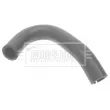 BORG & BECK BTH1005 - Gaine de suralimentation