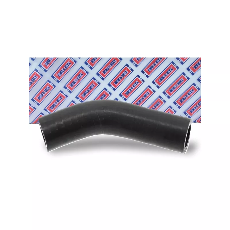 Gaine de suralimentation BORG & BECK BTH1009 - Visuel 1