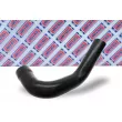 BORG & BECK BTH1016 - Gaine de suralimentation