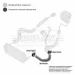 BORG & BECK BTH1016 - Gaine de suralimentation