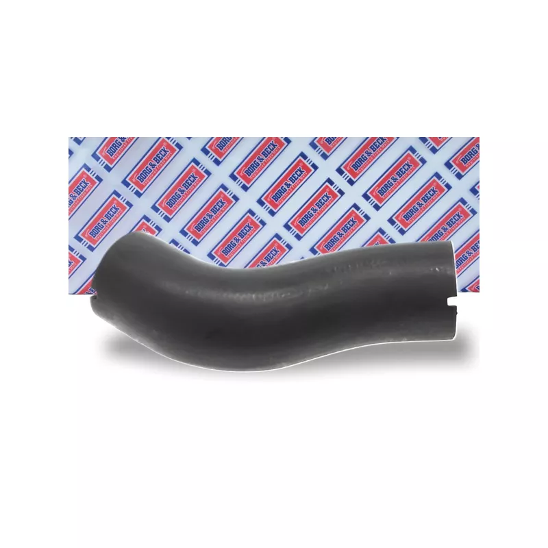 Gaine de suralimentation BORG & BECK BTH1031 - Visuel 1