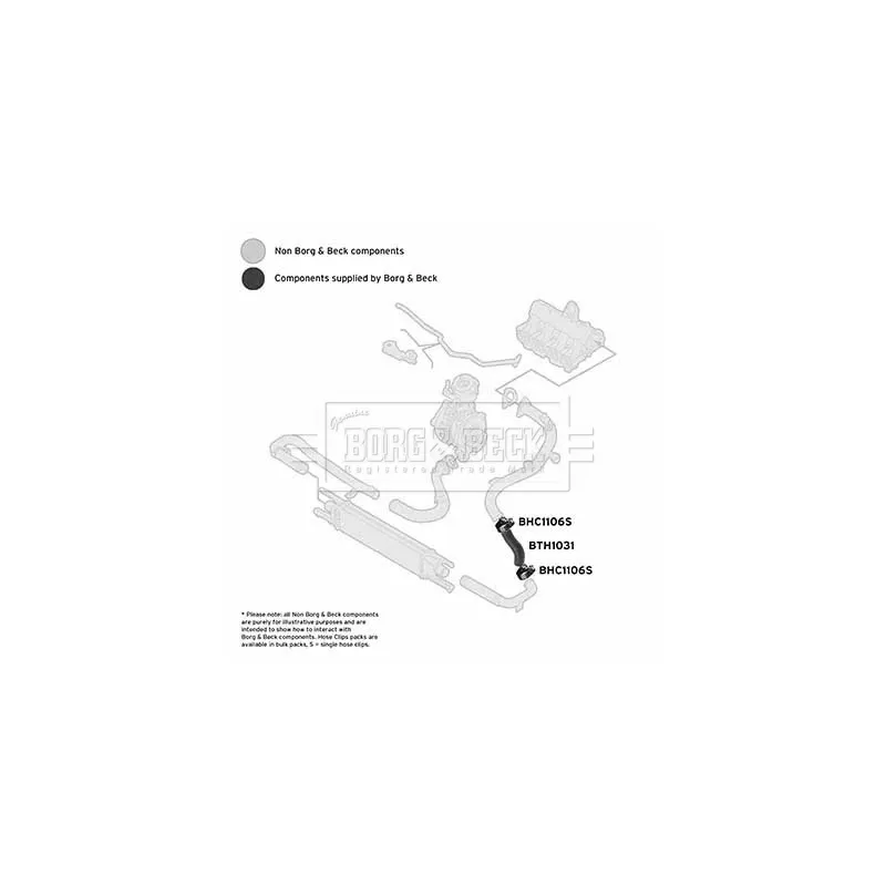 Gaine de suralimentation BORG & BECK BTH1031 - Visuel 2