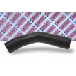 BORG & BECK BTH1037 - Gaine de suralimentation