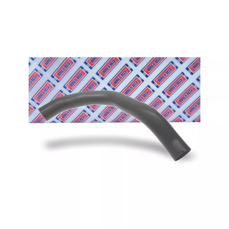 Gaine de suralimentation BORG & BECK BTH1049 - Visuel 1