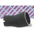 BORG & BECK BTH1054 - Gaine de suralimentation