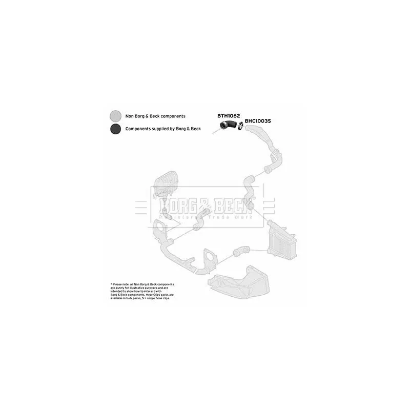 Tuyau d'aspiration, alimentation d'air BORG & BECK BTH1062 - Visuel 2
