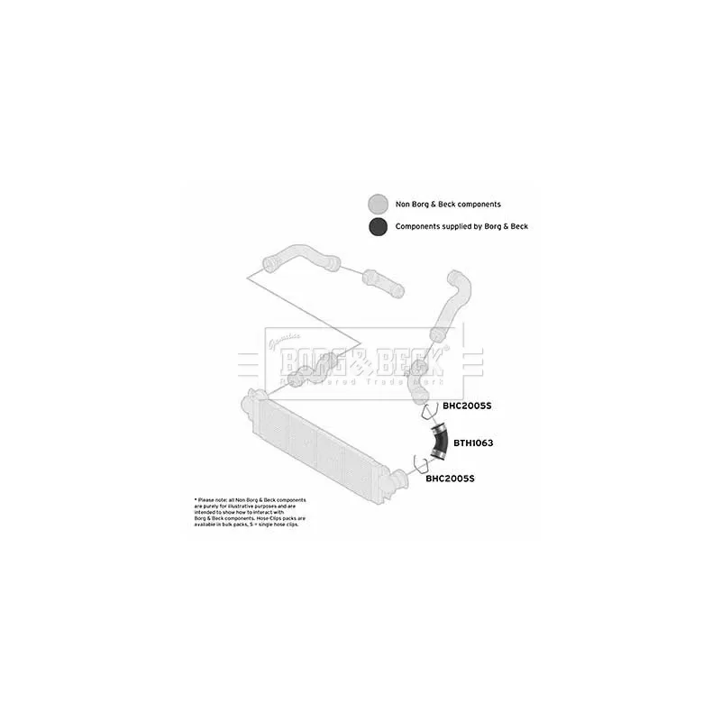 Gaine de suralimentation BORG & BECK BTH1063 - Visuel 2