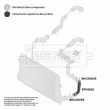 BORG & BECK BTH1065 - Gaine de suralimentation