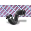 BORG & BECK BTH1074 - Gaine de suralimentation