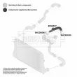 BORG & BECK BTH1077 - Gaine de suralimentation