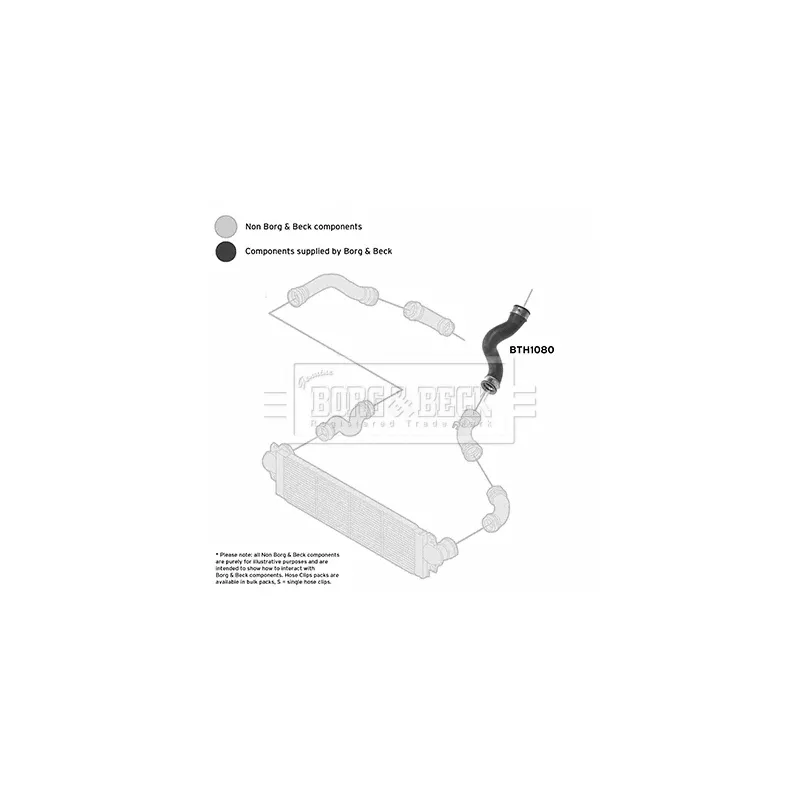 Gaine de suralimentation BORG & BECK BTH1080 - Visuel 2