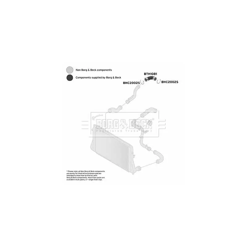 Gaine de suralimentation BORG & BECK BTH1081 - Visuel 2