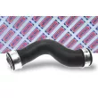 BORG & BECK BTH1085 - Gaine de suralimentation