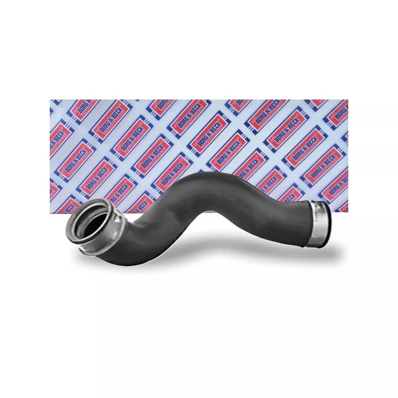 Gaine de suralimentation BORG & BECK BTH1089 - Visuel 1