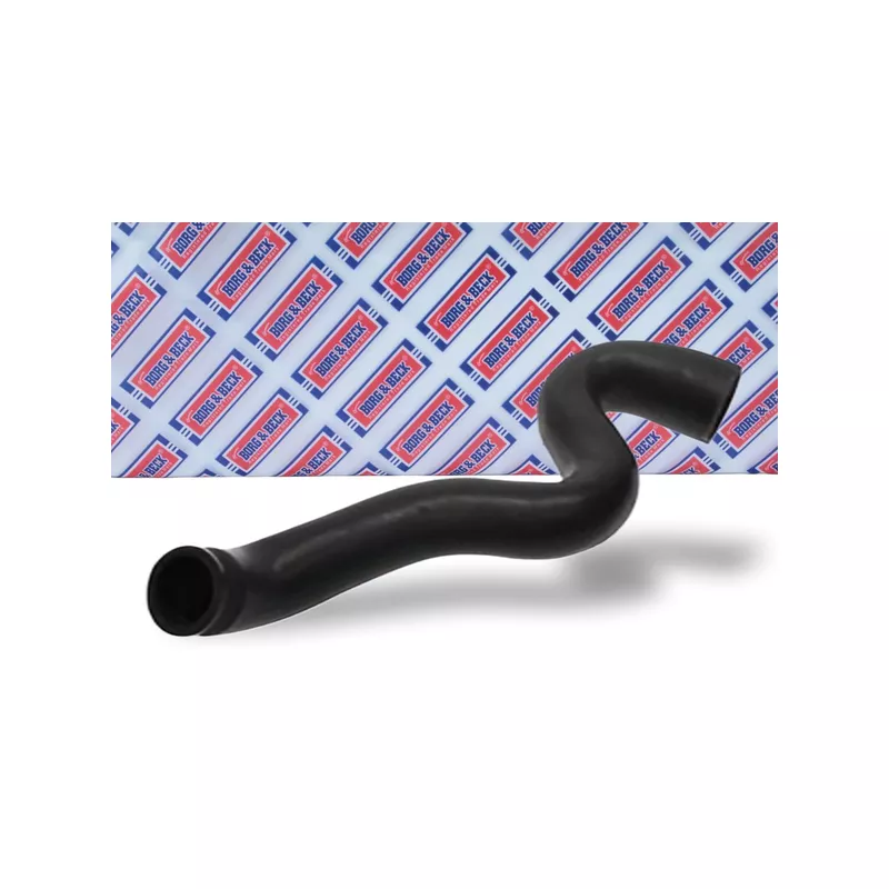 Gaine de suralimentation BORG & BECK BTH1094 - Visuel 1