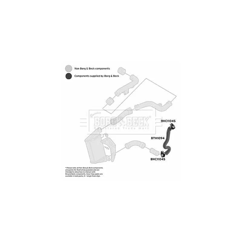 Gaine de suralimentation BORG & BECK BTH1094 - Visuel 2
