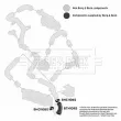 BORG & BECK BTH1095 - Gaine de suralimentation