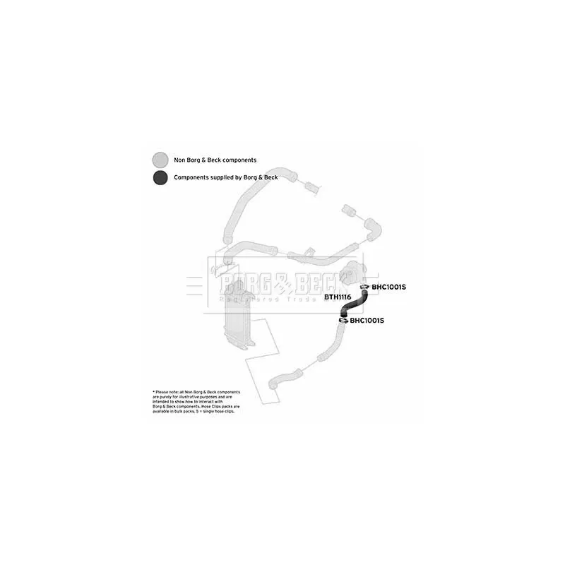 Gaine de suralimentation BORG & BECK BTH1116 - Visuel 2