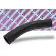 BORG & BECK BTH1117 - Gaine de suralimentation