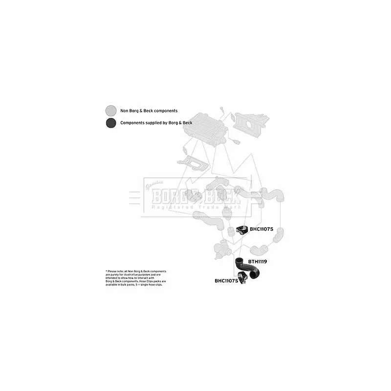 Gaine de suralimentation BORG & BECK BTH1119 - Visuel 2