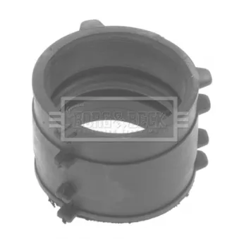 BORG & BECK BTH1123 - Gaine de suralimentation