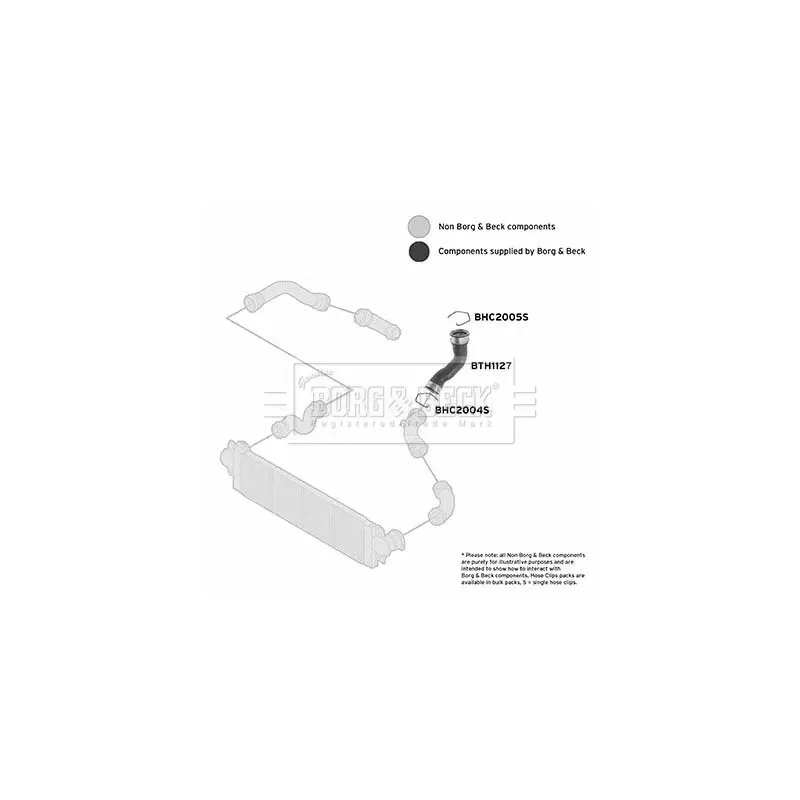 Gaine de suralimentation BORG & BECK BTH1127 - Visuel 2
