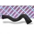 BORG & BECK BTH1137 - Gaine de suralimentation