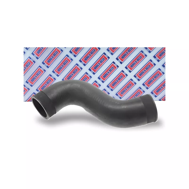 Gaine de suralimentation BORG & BECK BTH1138 - Visuel 1