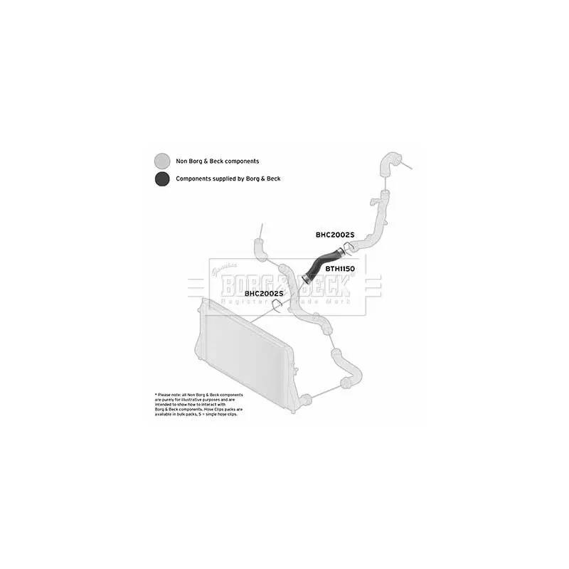 Gaine de suralimentation BORG & BECK BTH1150 - Visuel 2