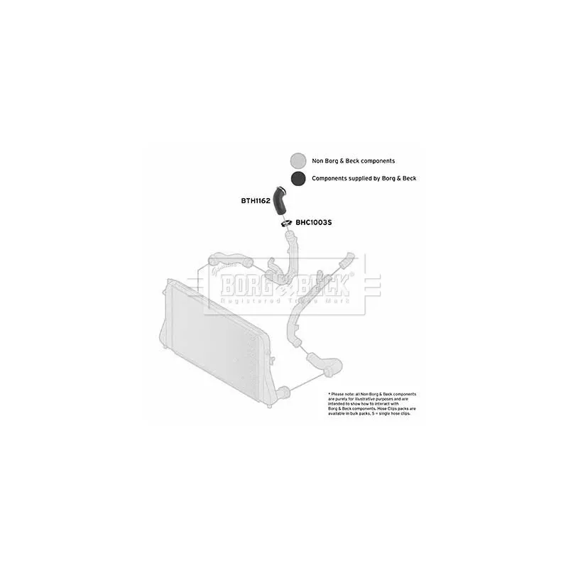 Gaine de suralimentation BORG & BECK BTH1162 - Visuel 2