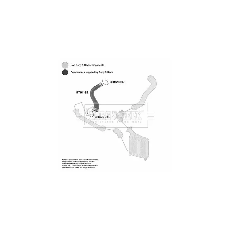 Gaine de suralimentation BORG & BECK BTH1185 - Visuel 2