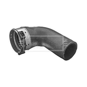 Gaine de suralimentation BORG & BECK OEM 11617789963
