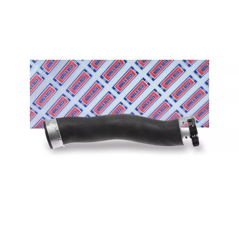 Gaine de suralimentation BORG & BECK BTH1210 - Visuel 1