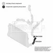 BORG & BECK BTH1224 - Gaine de suralimentation
