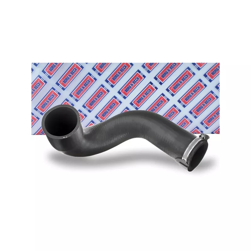 Gaine de suralimentation BORG & BECK BTH1238 - Visuel 1