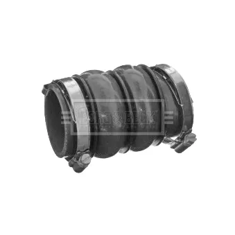 Gaine de suralimentation BORG & BECK BTH1243