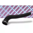 BORG & BECK BTH1253 - Gaine de suralimentation