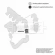 BORG & BECK BTH1256 - Gaine de suralimentation