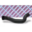 BORG & BECK BTH1263 - Gaine de suralimentation