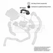 BORG & BECK BTH1272 - Gaine de suralimentation