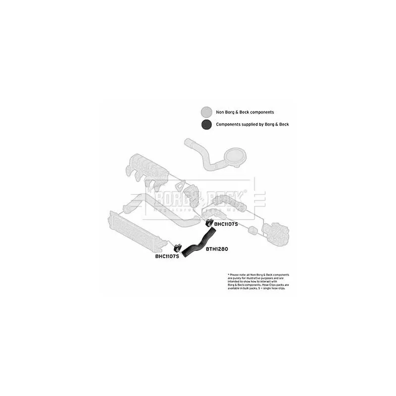 Gaine de suralimentation BORG & BECK BTH1280 - Visuel 2