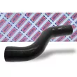 BORG & BECK BTH1284 - Gaine de suralimentation